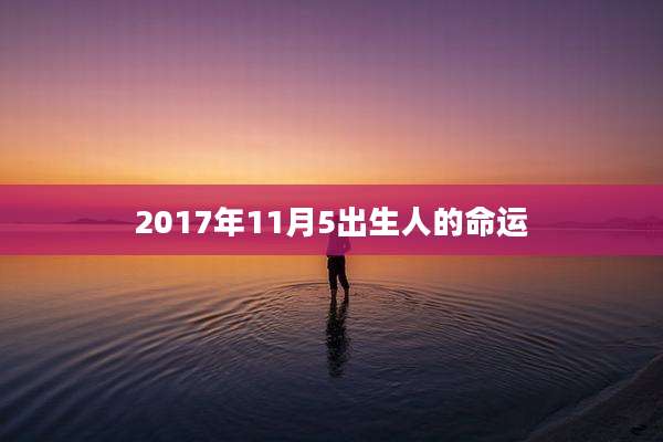2017年11月5出生人的命运