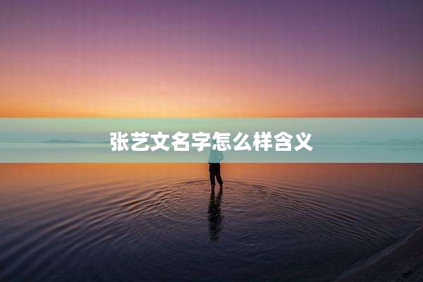 张艺文名字怎么样含义