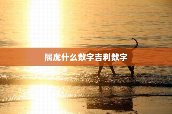 属虎什么数字吉利数字