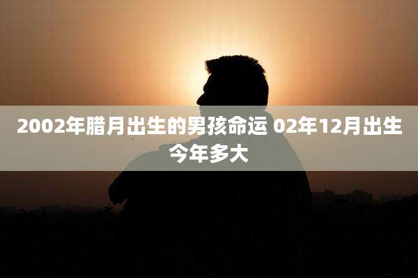 2002年腊月出生的男孩命运 02年12月出生今年多大