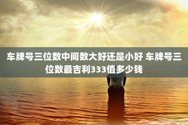 车牌号三位数中间数大好还是小好 车牌号三位数最吉利333值多少钱