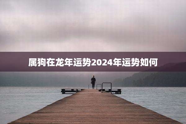 属狗在龙年运势2024年运势如何