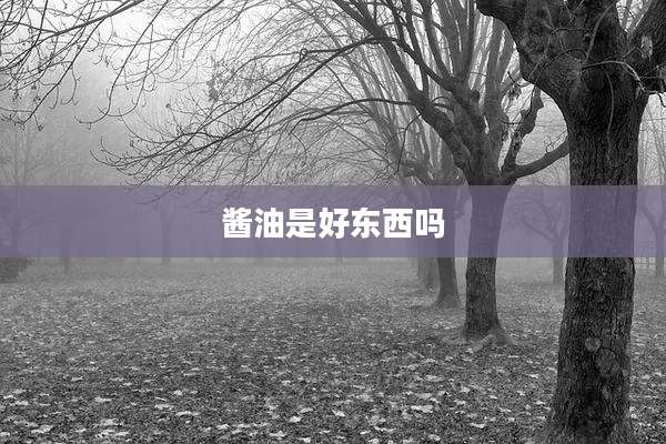 酱油是好东西吗