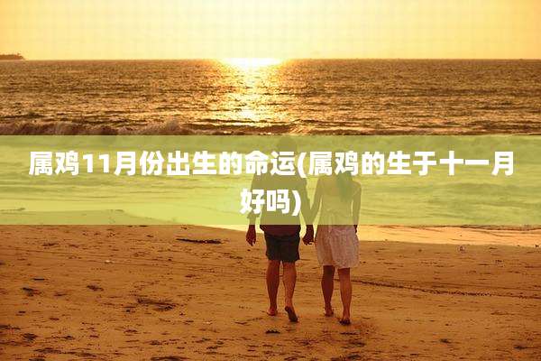 属鸡11月份出生的命运(属鸡的生于十一月好吗)