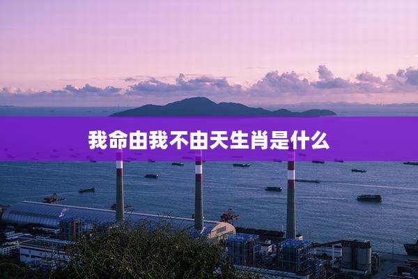 我命由我不由天生肖是什么