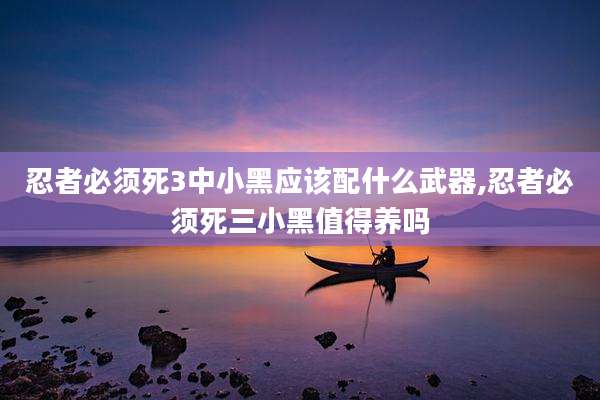忍者必须死3中小黑应该配什么武器,忍者必须死三小黑值得养吗