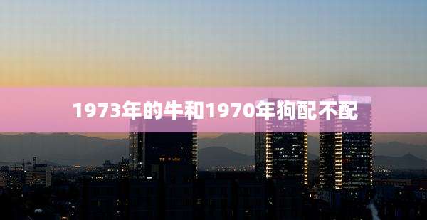 1973年的牛和1970年狗配不配
