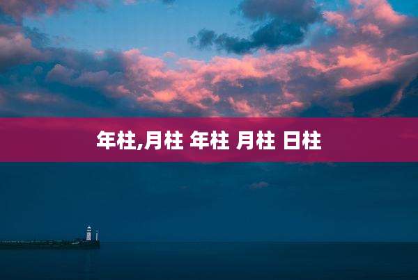年柱,月柱 年柱 月柱 日柱