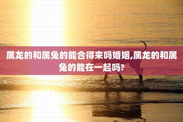属龙的和属兔的能合得来吗婚姻,属龙的和属兔的能在一起吗?
