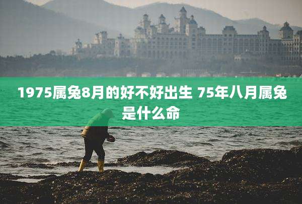 1975属兔8月的好不好出生 75年八月属兔是什么命