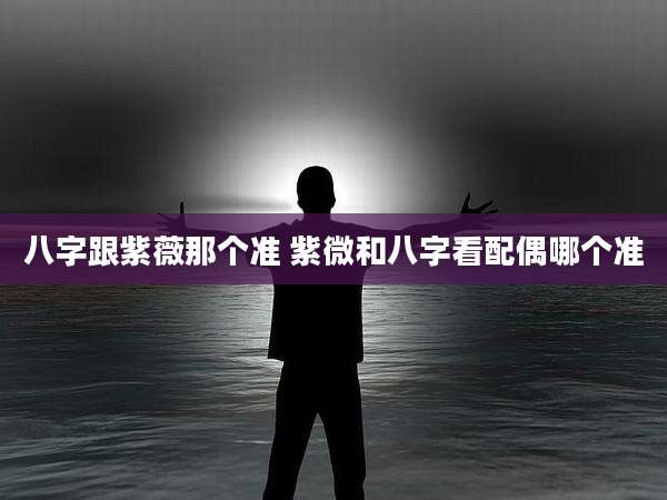 八字跟紫薇那个准 紫微和八字看配偶哪个准