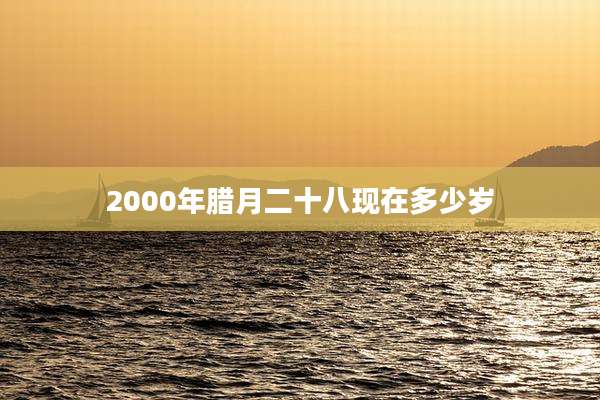 2000年腊月二十八现在多少岁