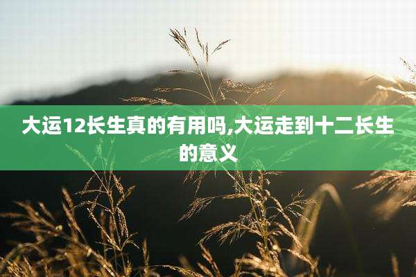 大运12长生真的有用吗,大运走到十二长生的意义