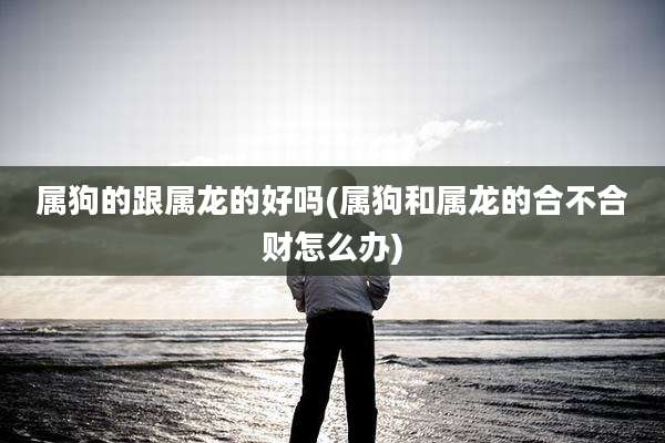属狗的跟属龙的好吗(属狗和属龙的合不合财怎么办)
