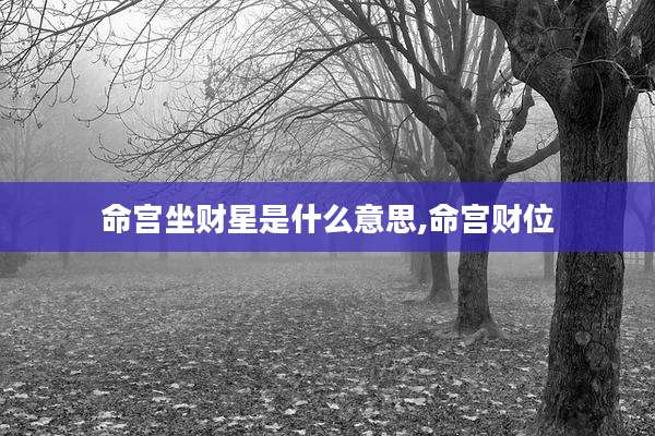 命宫坐财星是什么意思,命宫财位