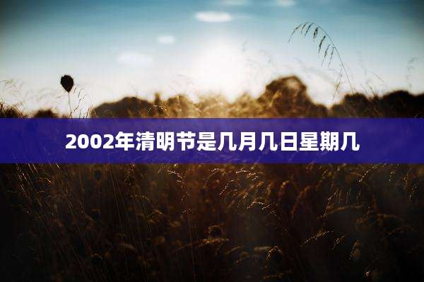 2002年清明节是几月几日星期几