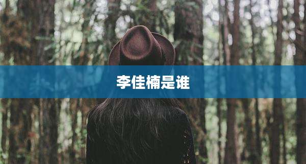 李佳楠是谁