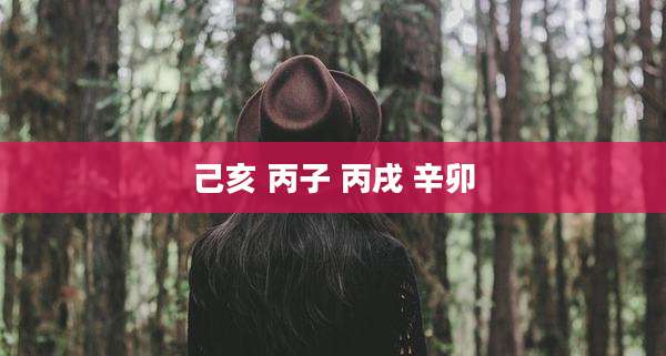 己亥 丙子 丙戌 辛卯