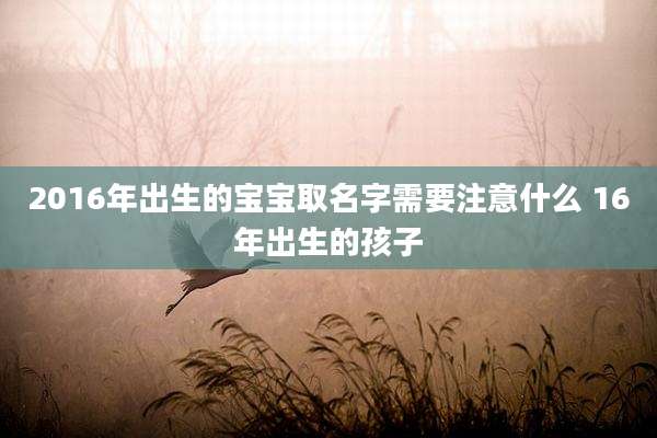 2016年出生的宝宝取名字需要注意什么 16年出生的孩子