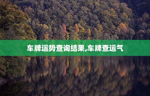 车牌运势查询结果,车牌查运气