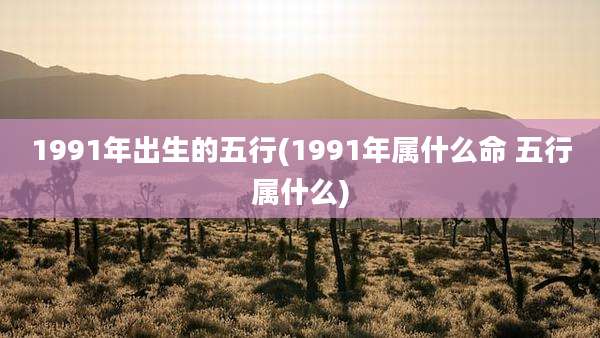 1991年出生的五行(1991年属什么命 五行属什么)