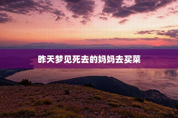 昨天梦见死去的妈妈去买菜