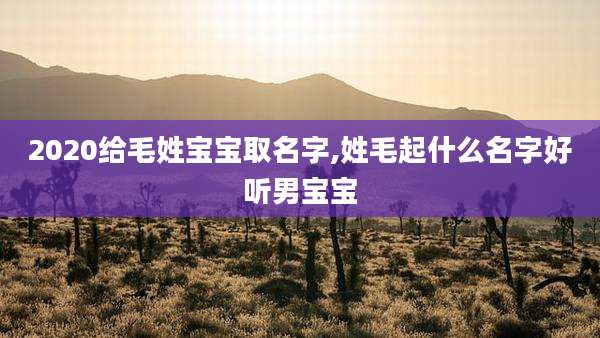 2020给毛姓宝宝取名字,姓毛起什么名字好听男宝宝