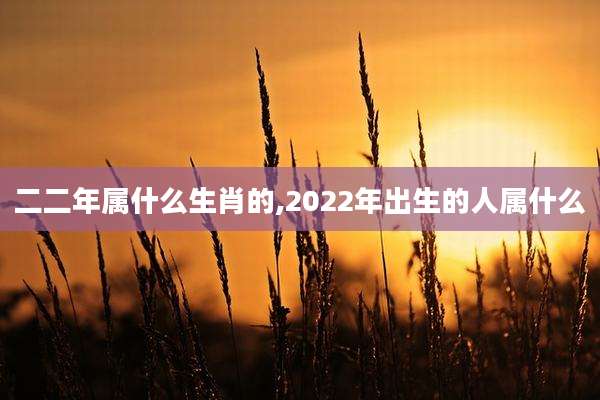 二二年属什么生肖的,2022年出生的人属什么