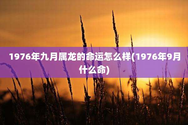 1976年九月属龙的命运怎么样(1976年9月什么命)
