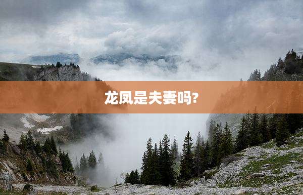 龙凤是夫妻吗?