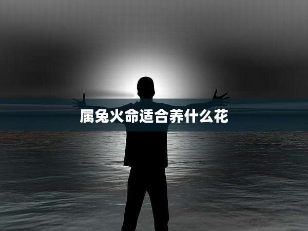 属兔火命适合养什么花