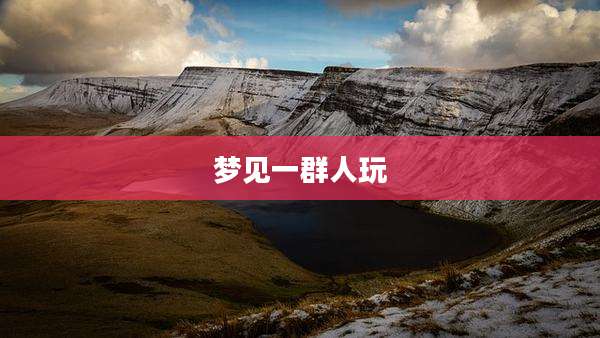 梦见一群人玩