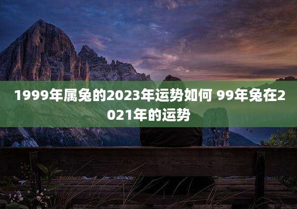 1999年属兔的2023年运势如何 99年兔在2021年的运势