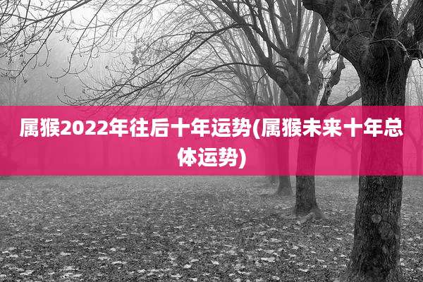 属猴2022年往后十年运势(属猴未来十年总体运势)
