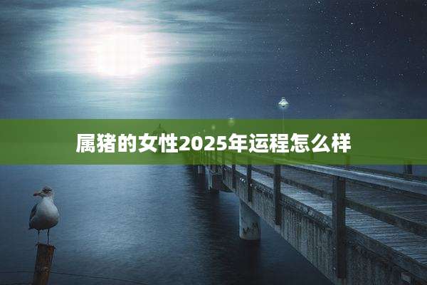 属猪的女性2025年运程怎么样