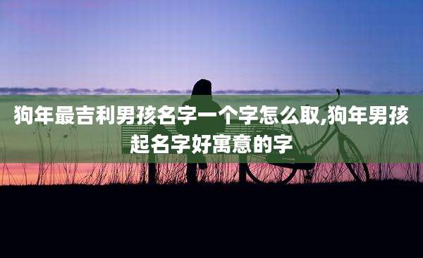 狗年最吉利男孩名字一个字怎么取,狗年男孩起名字好寓意的字