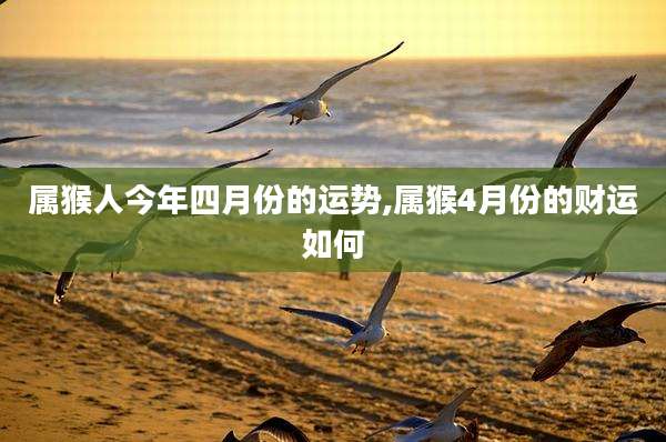 属猴人今年四月份的运势,属猴4月份的财运如何
