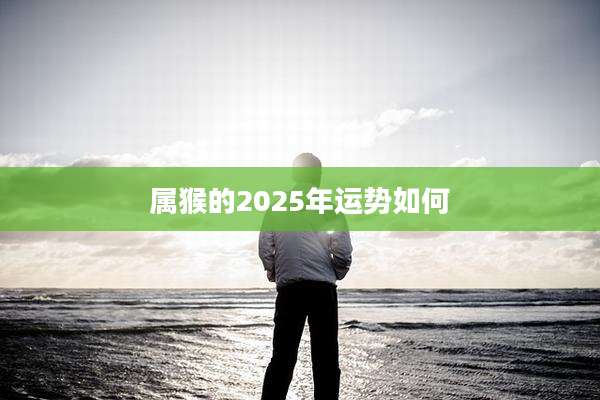 属猴的2025年运势如何