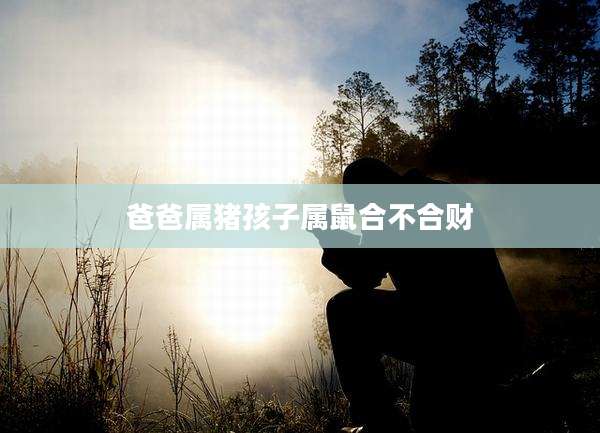 爸爸属猪孩子属鼠合不合财