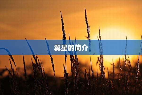翼星的简介