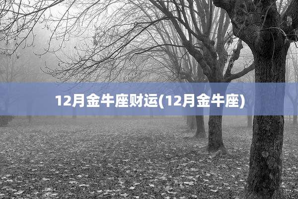 12月金牛座财运(12月金牛座)