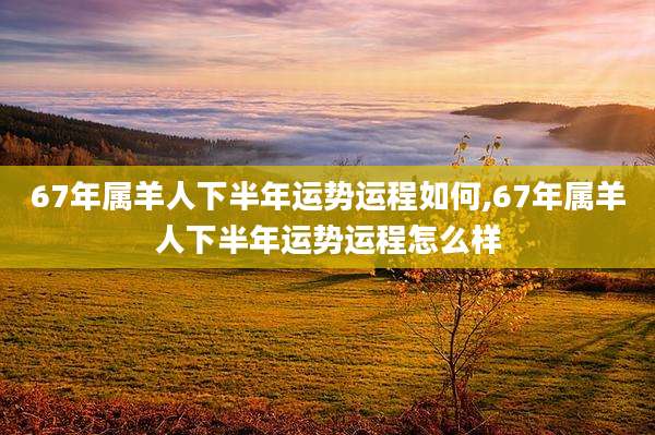 67年属羊人下半年运势运程如何,67年属羊人下半年运势运程怎么样