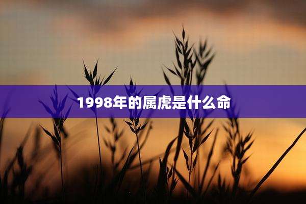 1998年的属虎是什么命