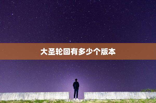 大圣轮回有多少个版本