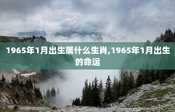 1965年1月出生属什么生肖,1965年1月出生的命运