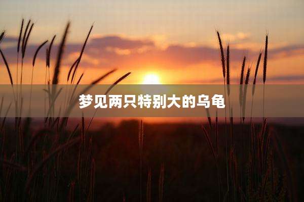 梦见两只特别大的乌龟