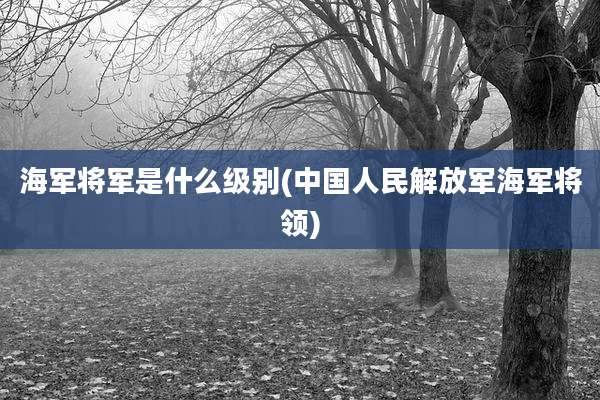 海军将军是什么级别(中国人民解放军海军将领)