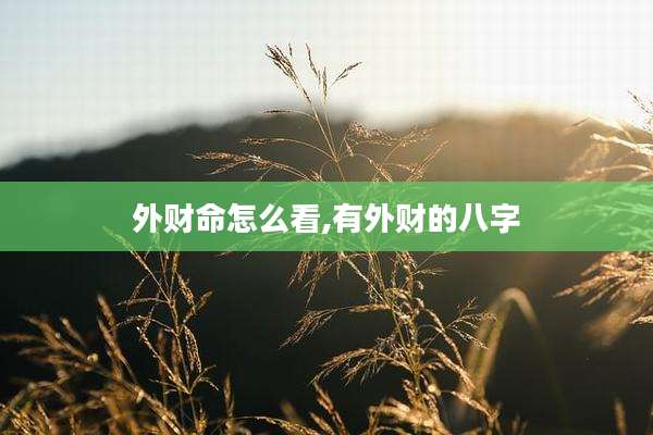 外财命怎么看,有外财的八字
