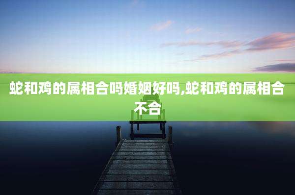 蛇和鸡的属相合吗婚姻好吗,蛇和鸡的属相合不合