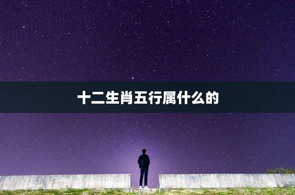 十二生肖五行属什么的